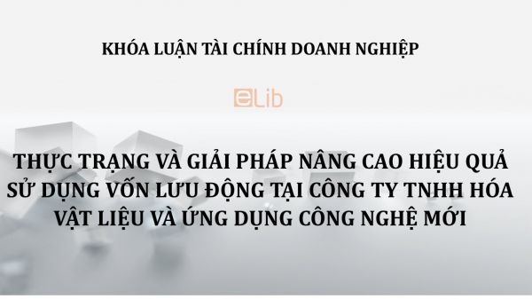 Thực trạng và giải pháp nâng cao hiệu quả sử dụng vốn lưu động tại Công ty TNHH Hóa vật liệu và ứng dụng công nghệ mới