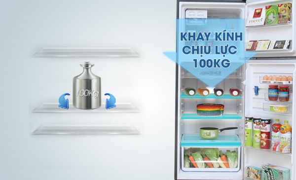 Hướng dẫn khi sử dụng bảng điều khiển các dòng tủ lạnh Electrolux ETB4602AA,ETB4602GA,ETB5702GA