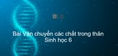 Sinh học 6 Bài 18: Biến dạng của thân