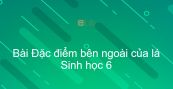 Sinh học 6 Bài 19: Đặc điểm bên ngoài của lá