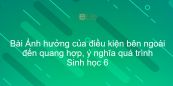 Sinh học 6 Bài 22: Ảnh hưởng của điều kiện bên ngoài đến quang hợp, ý nghĩa quá trình