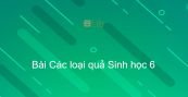 Sinh học 6 Bài 32: Các loại quả