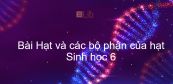 Sinh học 6 Bài 33: Hạt và các bộ phận của hạt