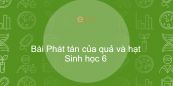 Sinh học 6 Bài 34: Phát tán của quả và hạt