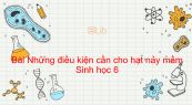 Sinh học 6 Bài 35: Những điều kiện cần cho hạt nảy mầm
