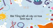 Sinh học 6 Bài 36: Tổng kết về cây có hoa
