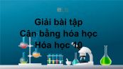 Giải bài tập SGK Hóa 10 Bài 38: Cân bằng hóa học