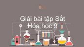 Giải bài tập SGK Hóa 9 Bài 19: Sắt