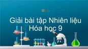 Giải bài tập SGK Hóa 9 Bài 41: Nhiên liệu