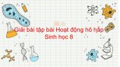 Giải bài tập SGK Sinh học 8 Bài 21: Hoạt động hô hấp