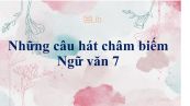Những câu hát châm biếm