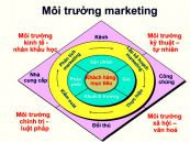 Phân tích cơ hội Marketing: Phân tích môi trường Marketing