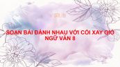 Soạn bài Đánh nhau với cối xay gió Ngữ văn 8 tóm tắt