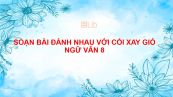 Soạn bài Đánh nhau với cối xay gió Ngữ văn 8 đầy đủ
