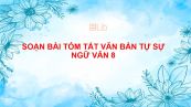 Soạn bài Tóm tắt văn bản tự sự Ngữ văn 8 đầy đủ