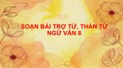 Soạn bài Trợ từ, thán từ Ngữ văn 8 siêu ngắn