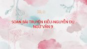 Soạn bài Truyện Kiều của Nguyễn Du Ngữ văn 9 đầy đủ