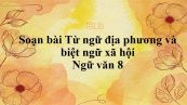 Soạn bài: Từ ngữ địa phương và biệt ngữ xã hội Ngữ văn 8 tóm tắt