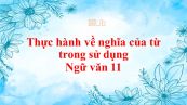 Thực hành về nghĩa của từ trong sử dụng