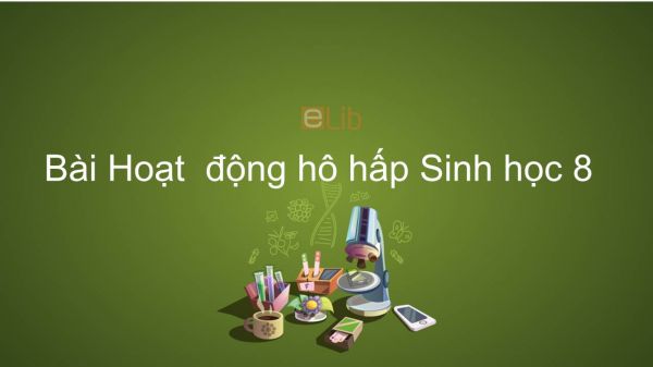 Sinh học 8 Bài 21: Hoạt  động hô hấp