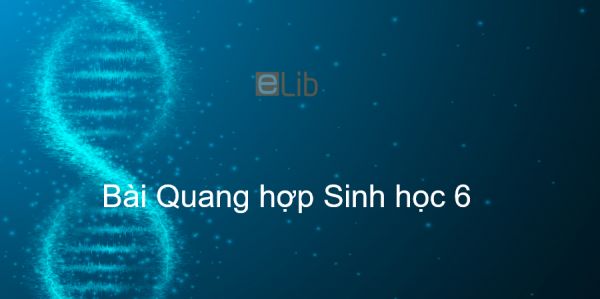 Sinh học 6 Bài 21: Quang hợp