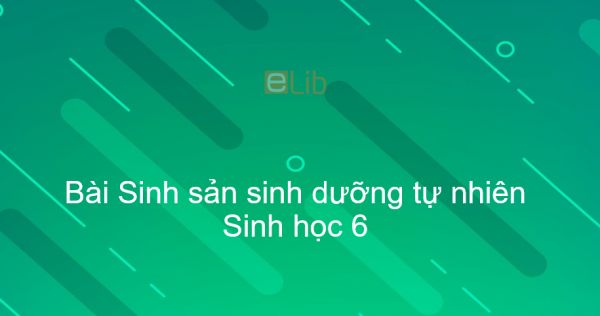 Sinh học 6 Bài 26: Sinh sản sinh dưỡng tự nhiên