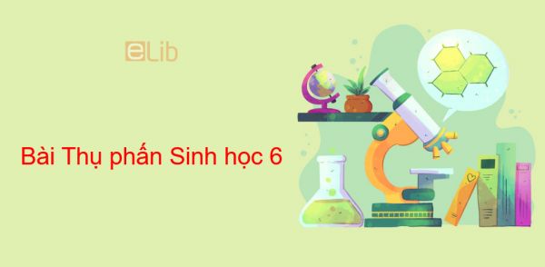 Sinh học 6 Bài 30: Thụ phấn