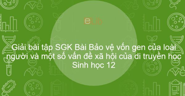 Giải bài tập SGK Sinh học 12 Bài 22: Bảo vệ vốn gen của loài người và một số vấn đề xã hội của di truyền học