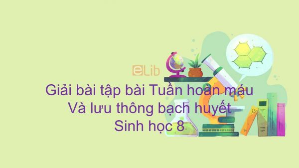 Giải bài tập SGK Sinh học 8 Bài 16: Tuần hoàn máu và lưu thông bạch huyết