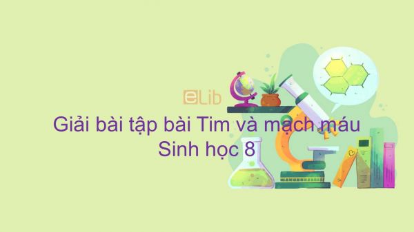 Giải bài tập SGK Sinh học 8 Bài 17: Tim và mạch máu