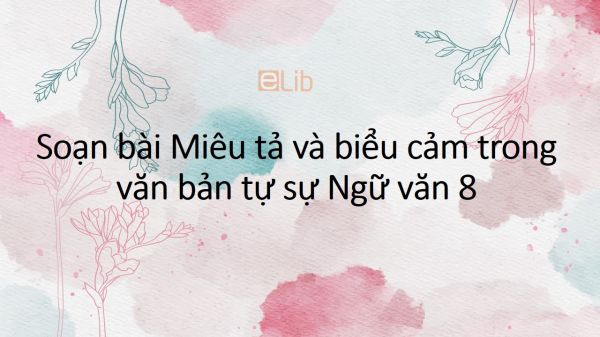 Soạn bài Miêu tả và biểu cảm trong văn bản tự sự Ngữ văn 8 tóm tắt