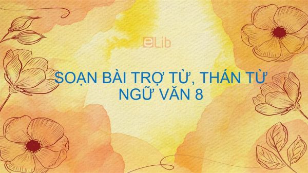 Soạn bài Trợ từ, thán từ Ngữ văn 8 đầy đủ