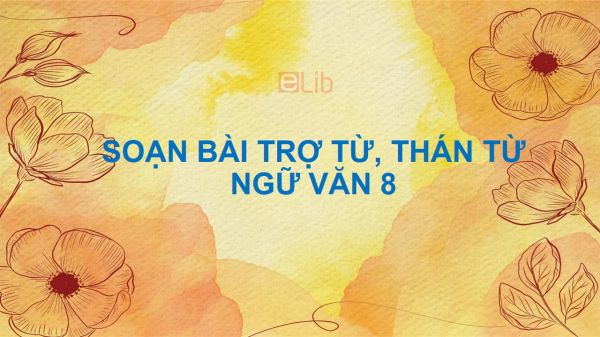 Soạn bài Trợ từ, thán từ Ngữ văn 8 tóm tắt