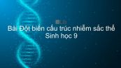 Sinh học 9 Bài 22: Đột biến cấu trúc nhiễm sắc thể