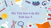 Sinh học 8 Bài 27: Tiêu hóa ở dạ dày