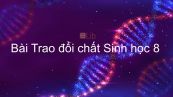 Sinh học 8 Bài 31: Trao đổi chất