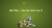 Sinh học 6 Bài 38: Rêu - Cây rêu