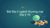 Địa lí 10 Bài 40: Địa lý ngành thương mại