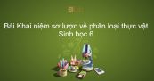 Sinh học 6 Bài 43: Khái niệm sơ lược về phân loại thực vật