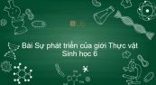 Sinh học 6 Bài 44: Sự phát triển của giới Thực vật
