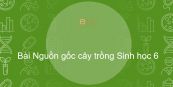 Sinh học 6 Bài 45: Nguồn gốc cây trồng