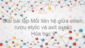Giải bài tập SGK Hóa 9 Bài 46: Mối liên hệ giữa etilen, rượu etylic và axit axetic