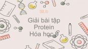Giải bài tập SGK Hóa 9 Bài 53: Protein