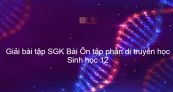 Giải bài tập SGK Sinh học 12 Bài 23: Ôn tập phần di truyền học