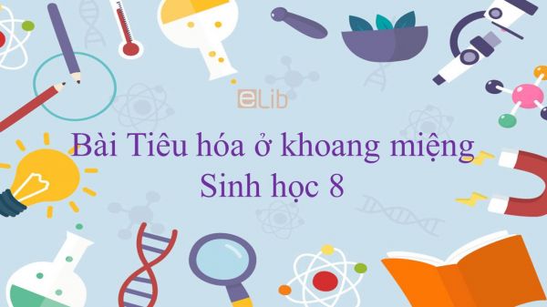 Sinh học 8 Bài 25: Tiêu hóa ở khoang miệng