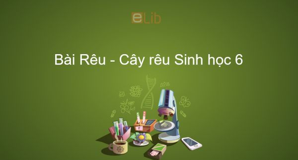 Sinh học 6 Bài 38: Rêu - Cây rêu