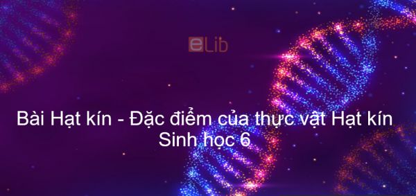 Sinh học 6 Bài 41: Hạt kín - Đặc điểm của thực vật Hạt kín