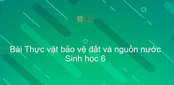 Sinh học 6 Bài 47: Thực vật bảo vệ đất và nguồn nước