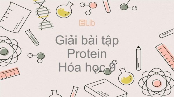 Giải bài tập SGK Hóa 9 Bài 53: Protein