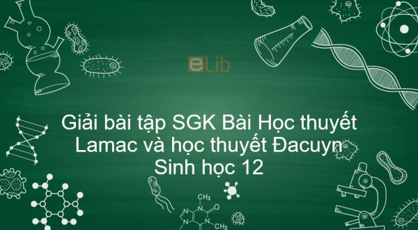 Giải bài tập SGK Sinh học 12 Bài 25: Học thuyết Lamac và học thuyết Đacuyn